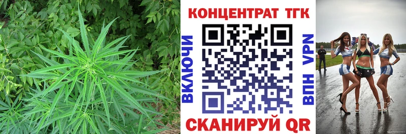 Дистиллят ТГК THC oil  Данилов 