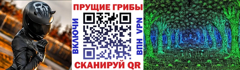 Псилоцибиновые грибы MAGIC MUSHROOMS  Данилов 